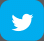 twitter_icon