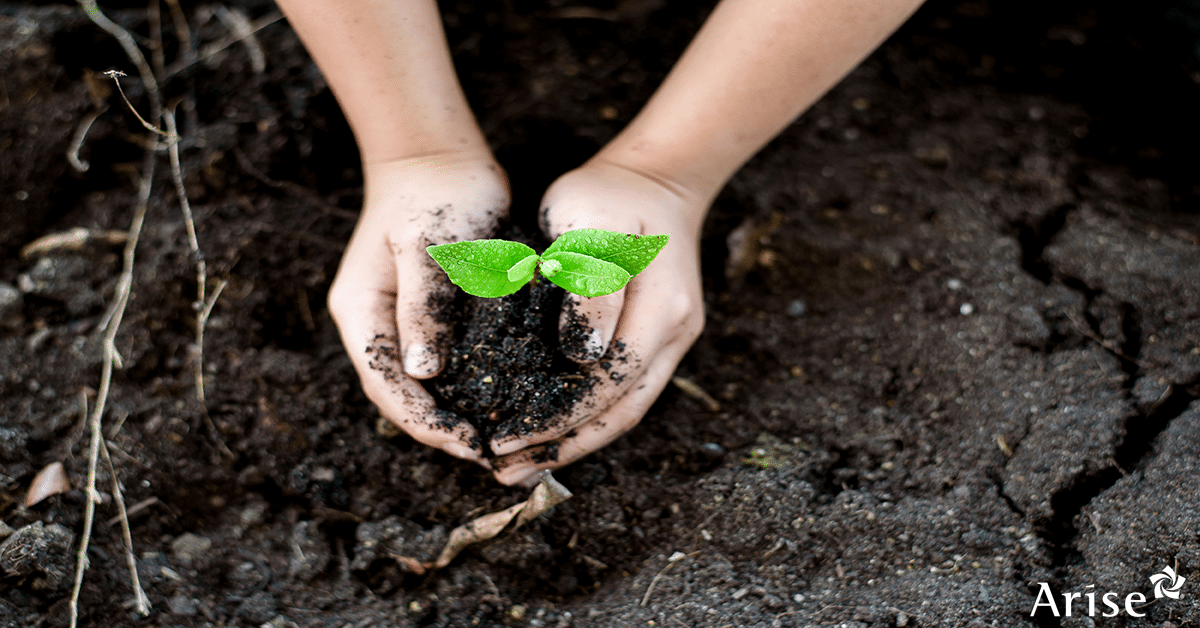 Blog Post Earth Day