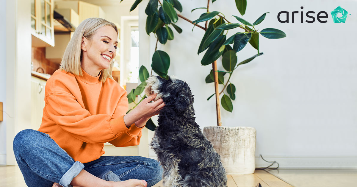 Woman sitting on the floor, petting her dog - Work At Home Opportunities