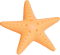 Starfish