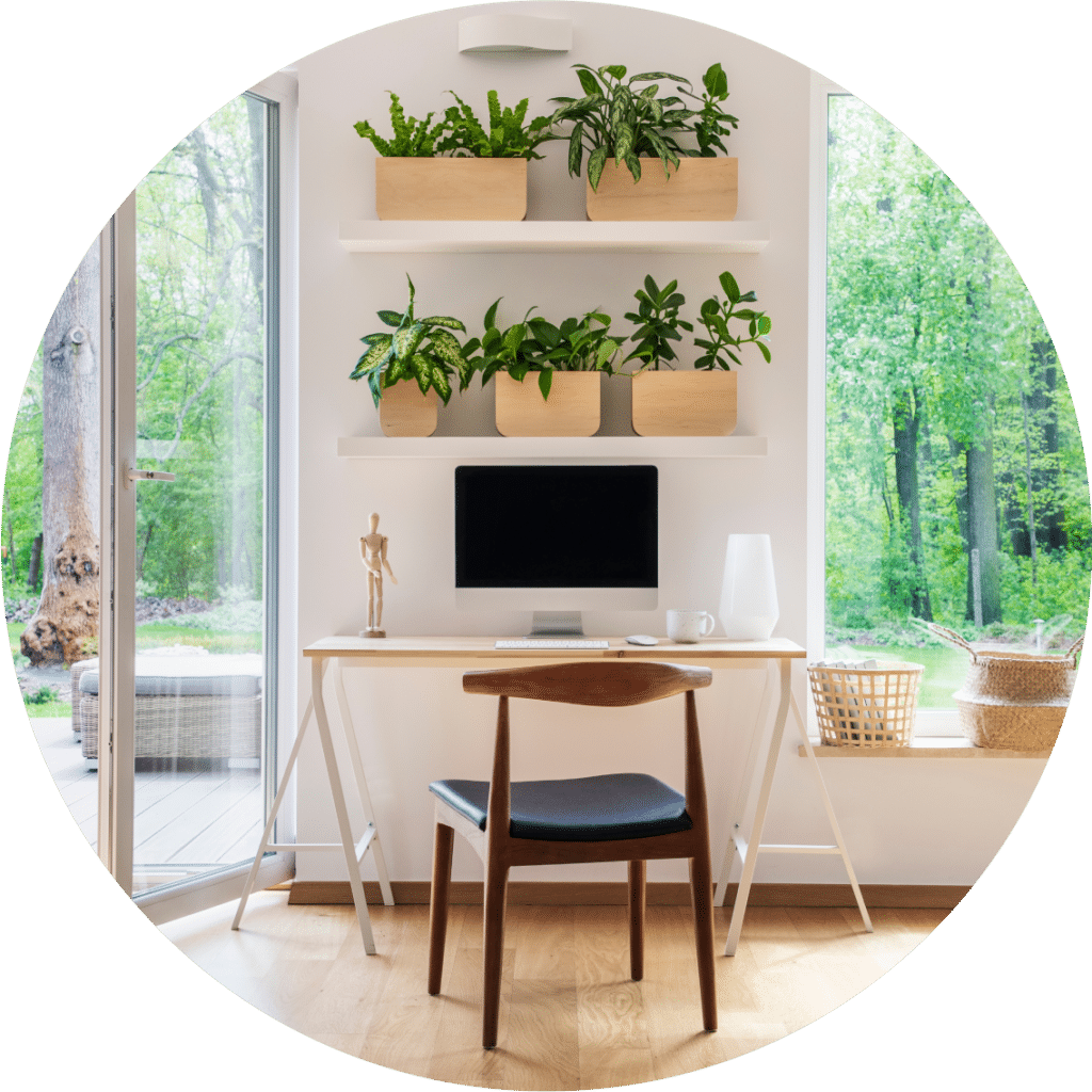 Plants, computer, desk, and chair.