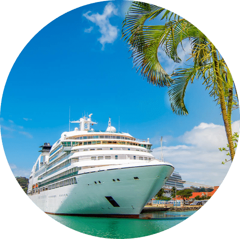 Cruise ship docked and a palm tree.